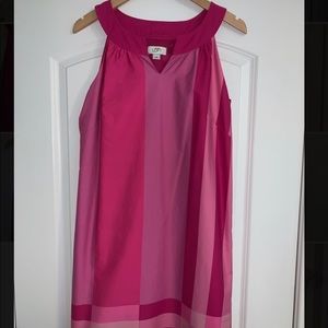 LOFT Pink Block Dress
